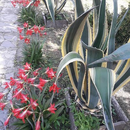 Ni- Ke Hotel Ckaltubo Kültér fotó